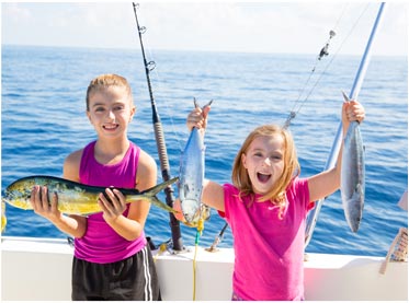 零占用不卡顿的ddos网页在线攻击